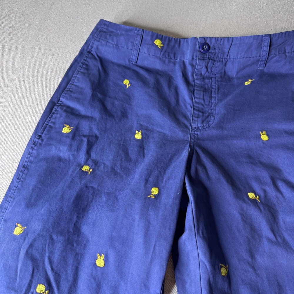 J.Crew Blue Lemon Embroidered Wide Leg 100% Cotton Chino Pants Size 28 High Rise